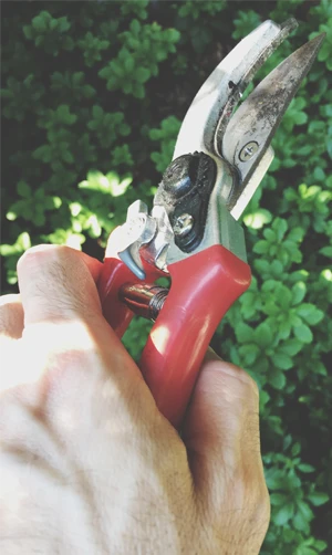 Herramientas y maquinaria de jardinería